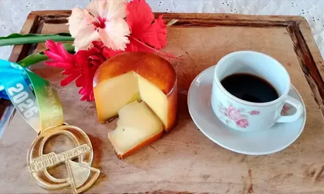 Queijarias do Extremo Sul conquistam o Melhor Queijo da Bahia e nove medalhas no Prêmio Queijo Brasil