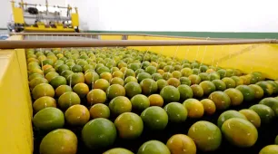 Rio Real recebe unidade de beneficiamento da citricultura do Governo do Estado