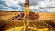 Safra de grãos da Bahia deve bater recorde em 2026, com alta de 8,7%, estima IBGE