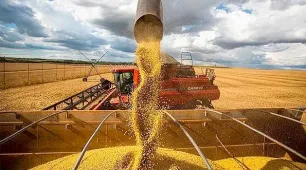 Safra de grãos da Bahia deve bater recorde em 2026, com alta de 8,7%, estima IBGE