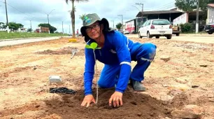Secretaria de Obras inicia plantio de 50 novas árvores na Avenida Brasil, em Itabatã