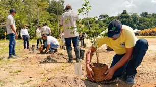 Setembro Amarelo: Plantio de ipês reforça a conscientização sobre a prevenção ao suicídio
