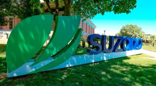 Suzano abre vagas de emprego no extremo sul da Bahia; confira
