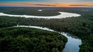 Suzano avança com corredores ecológicos entre a Bahia e o Espírito Santo