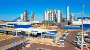 Suzano vende 12,7 milhões de toneladas de celulose pela primeira vez na história